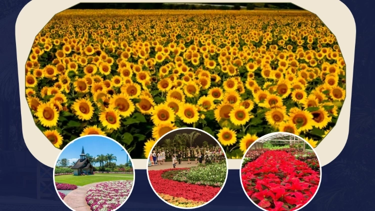 Imagem de vitrine